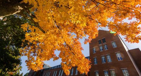 UNH Campus in the autumn