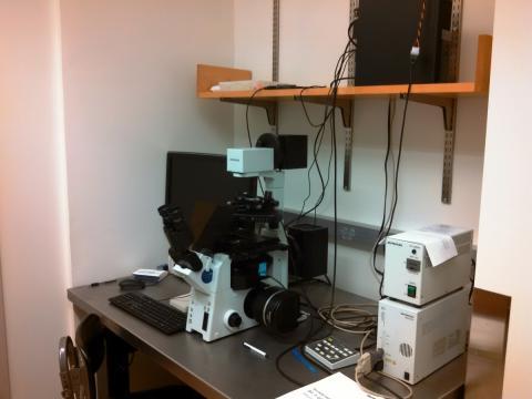 The Olympus IX81 inverted fluorescense/brightfield microscope.