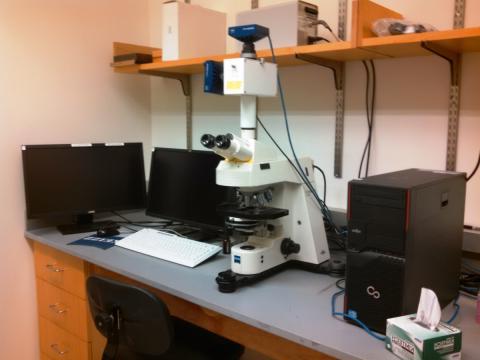 The Zeiss Axioplan 2 Imaging upright fluorescence/brightfield microscope.