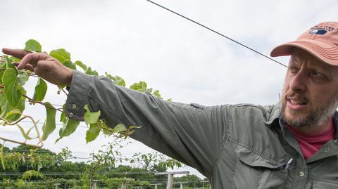 展示植物的男子