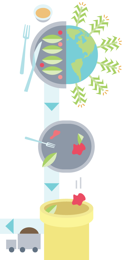 食物被种植、食用并落入堆肥桶的插图