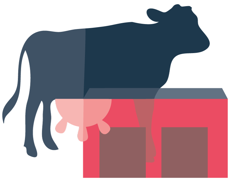 illustration of a cow and barn