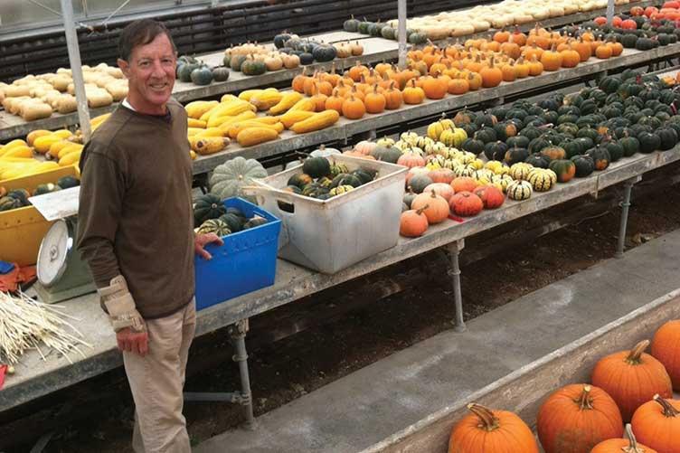 UNH researcher and plant developer Brent Loy