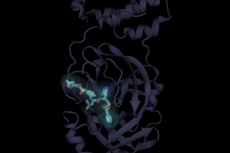 蛋白酶抑制剂的科学说明