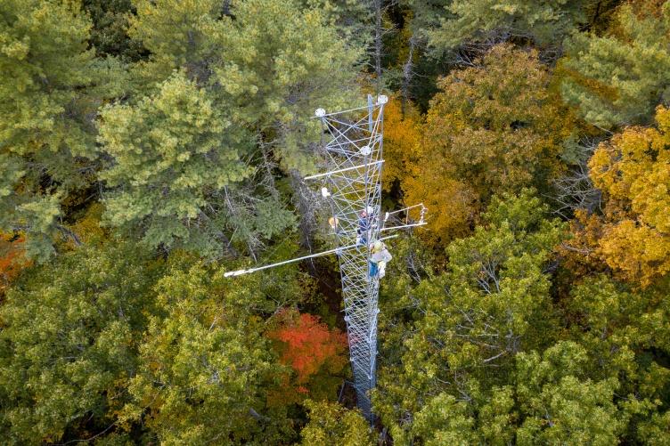 Research tower in a forest, shot from above with fall colors emerging