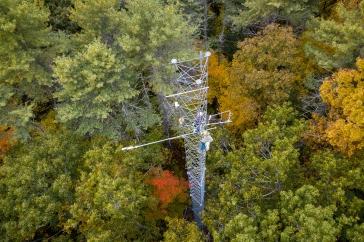 研究 tower in a forest, shot from above with fall colors emerging