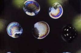 Microscope image of droplets of antifreeze