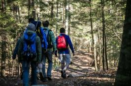 A row of students wearing backpacks walk away from the camera. They wear winter jackets. The ground is covered by dead leaves.