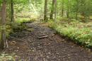 dry stream bed with scientific sensor in the middle