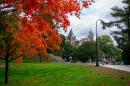 A view of the UNH campus in autumn