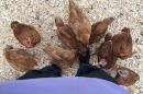 PEEP flock gathers around a student.