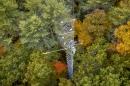 Drone image of research tower in forest in autumn