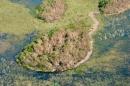 Drone image of hurricane-damaged mangrove forest