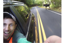 Assistant Professor Rem Moll spots his first moose in Barlett Experimental Forest